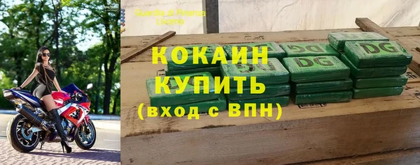 дживик Балахна
