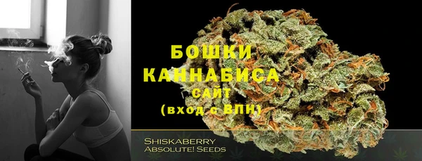 дживик Балахна